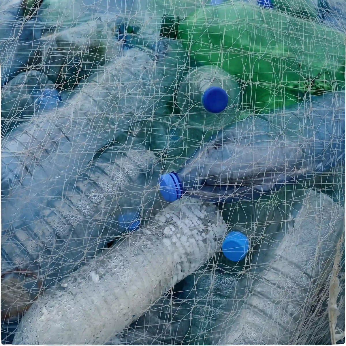 Blaue Kunststoffflaschen in einem Netz zur Wiederverwertung, Material recyceltes Polyester für Sport, Workwear und Outdoor Textilien